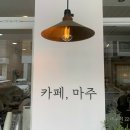 카페마주