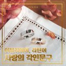 반지각인문구 -이탈리아어, 라틴어 편