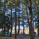 삼성여고 앞 3 이미지