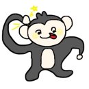 뉴코튼