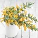 조경기능사(실기) 이미지