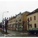 토리에트 이미지