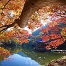 의료법인 교통문화의료재단 이미지