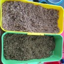 이정골낚시터 이미지