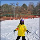 스포츠파크펜션 | 홍천 비발디파크 스키강습 슬로프 위 즐거웠던 후기