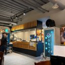 정자네식당 | 분당 정자역맛집 규카츠 일식당 후라토식당 혼밥 주차 내돈내산 솔직 후기