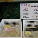 퀸스애비뉴2 이미지