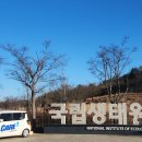 로얄방역