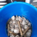 씨네마펜션 이미지