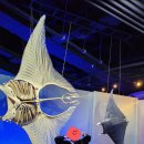 서천-11 | 서천 씨큐리움 2025년 11월 방문후기 씨큐리움 후기