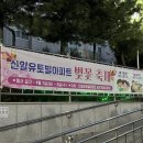 씨유의정부신일유토빌점 | 의정부 신일유토빌아파트 벚꽃 축제 야시장 다녀온 후기