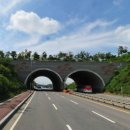 순천-23호 이미지