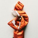 라바플라이 이미지