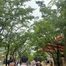 우중 오션월드 후기🪼_오션월드 꿀팁