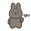 봉쥬르멍멍 이미지