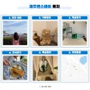 제주엔스테이 동쪽 구좌 가성비 숙소 추천