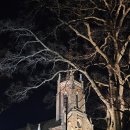 아산현대서비스(주) | 아산 여행 공세리성당 맛집 미우한우본점 후기