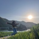 도담정원 | 단양 아이랑 가볼만한곳 도담정원 도담삼봉 꽃명소 유람선 무료 여행