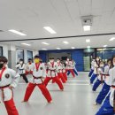 인성태권도장 이미지