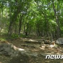 남도오백리역사숲길 이미지