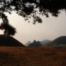 함안 말이산고분군 이미지