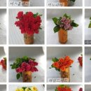 명정농장 이미지