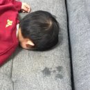 한걸음더 재활한방 동물병원 네이버블로그