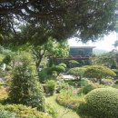 삼화농원 이미지