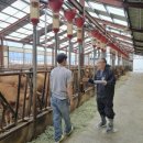 한우사육 이미지