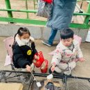 건희목장 이미지