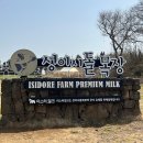 제주 서쪽 가볼 만한 곳 성이시돌목장 주차 입장료 우유부단 카페 후기
