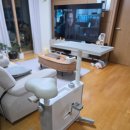 긍정바이크 | 공간차지 없는 멜킨 접이식 자전거 원룸 추천 실내유산소운동기구 모노바이크 후기