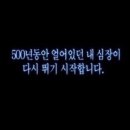 오네스타(onesta) 네이버블로그