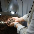 지소현(Roaster's) 커피
