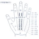 서금요법(수지침)중급 이미지