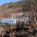 함백초등학교 | 운탄고도 3길(광부의 삶을 돌아보며 걷는 길)
