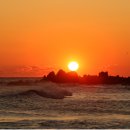 피트니스 209 이미지