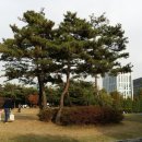 몽마르뜨공원 이미지