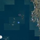 태안호스릴-71 | MJT 갑정출 - 대야도 아일랜드호 갑오징어낚시 후기 [24.09.24]