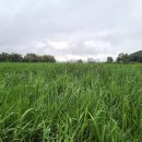 춘천시서면보건지소 이미지