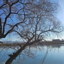 화담공인중개사사무소 이미지