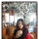 이리오개 이미지