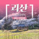 큰꽃지천 | 충북 괴산 / 벚꽃이 만개한 성불산 자연휴양림 도명산 객실 후기