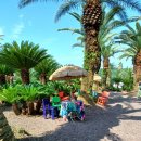 상가리농장 이미지