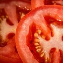 토마토피부과 네이버블로그
