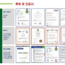 마이셀