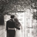 피오나헤어 이미지