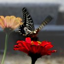 구암농장 이미지