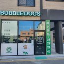 버블독스청주오송점