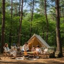 평창 휘게포레스트 예약 성공 후기 계곡 명당 사이트 추천